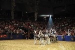 Extreme - 00940
